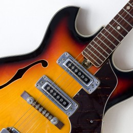 Comment bien choisir sa guitare ?