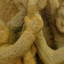 Apprendre à sculpter en utilisant la terre